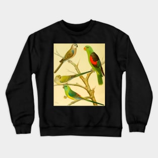 1878 naturalist image of Australian parakeets Crewneck Sweatshirt